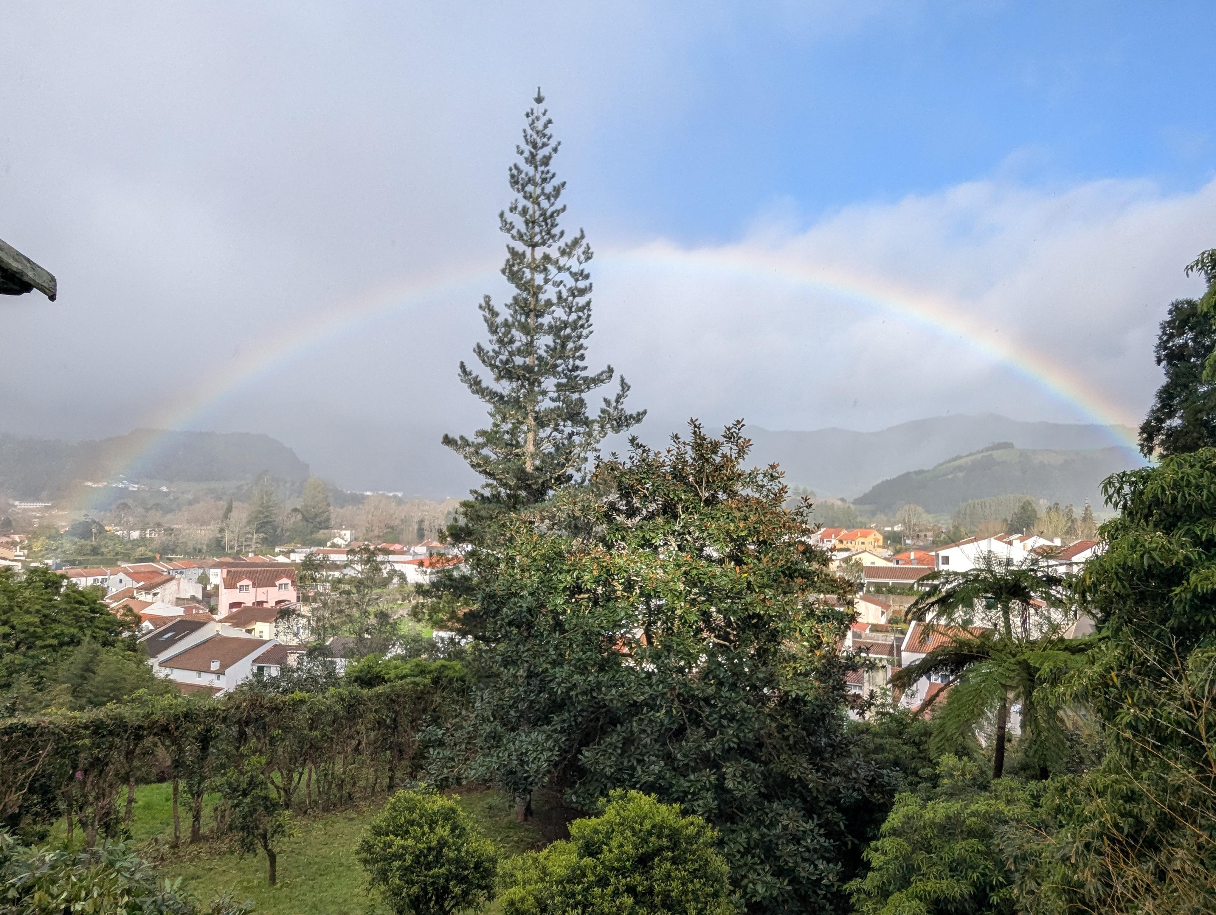 Our view on St. Paddy's day