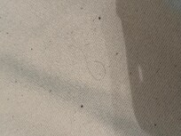 Mattress cover full of hair and lint