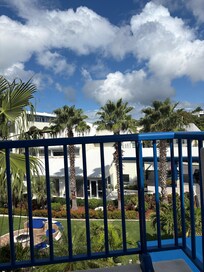 Garden view from balcony