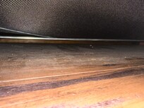 Filth under the couch
