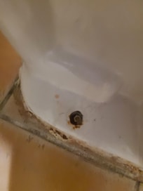 Pee