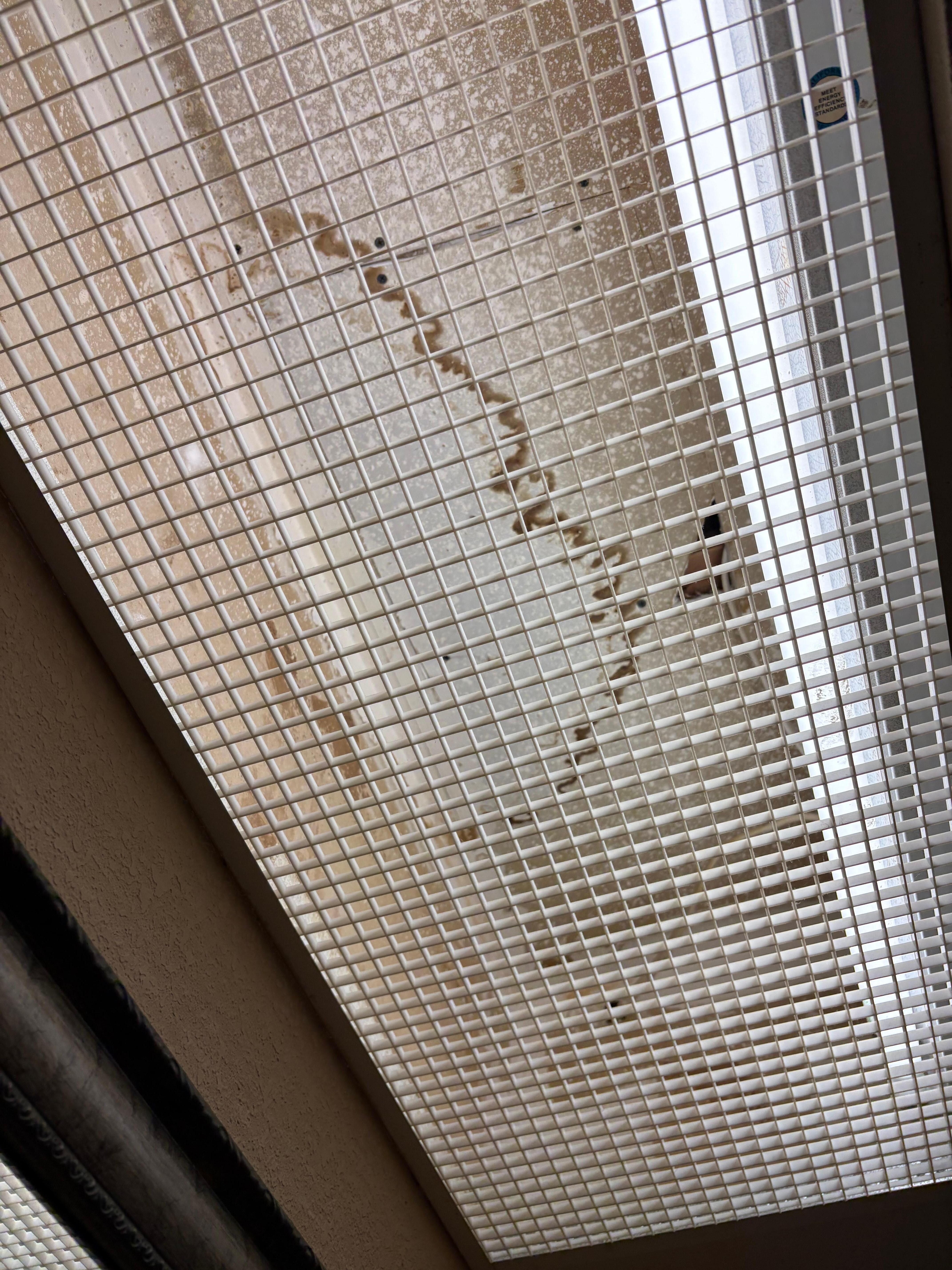 Above the bathroom sink the light was disgusting 