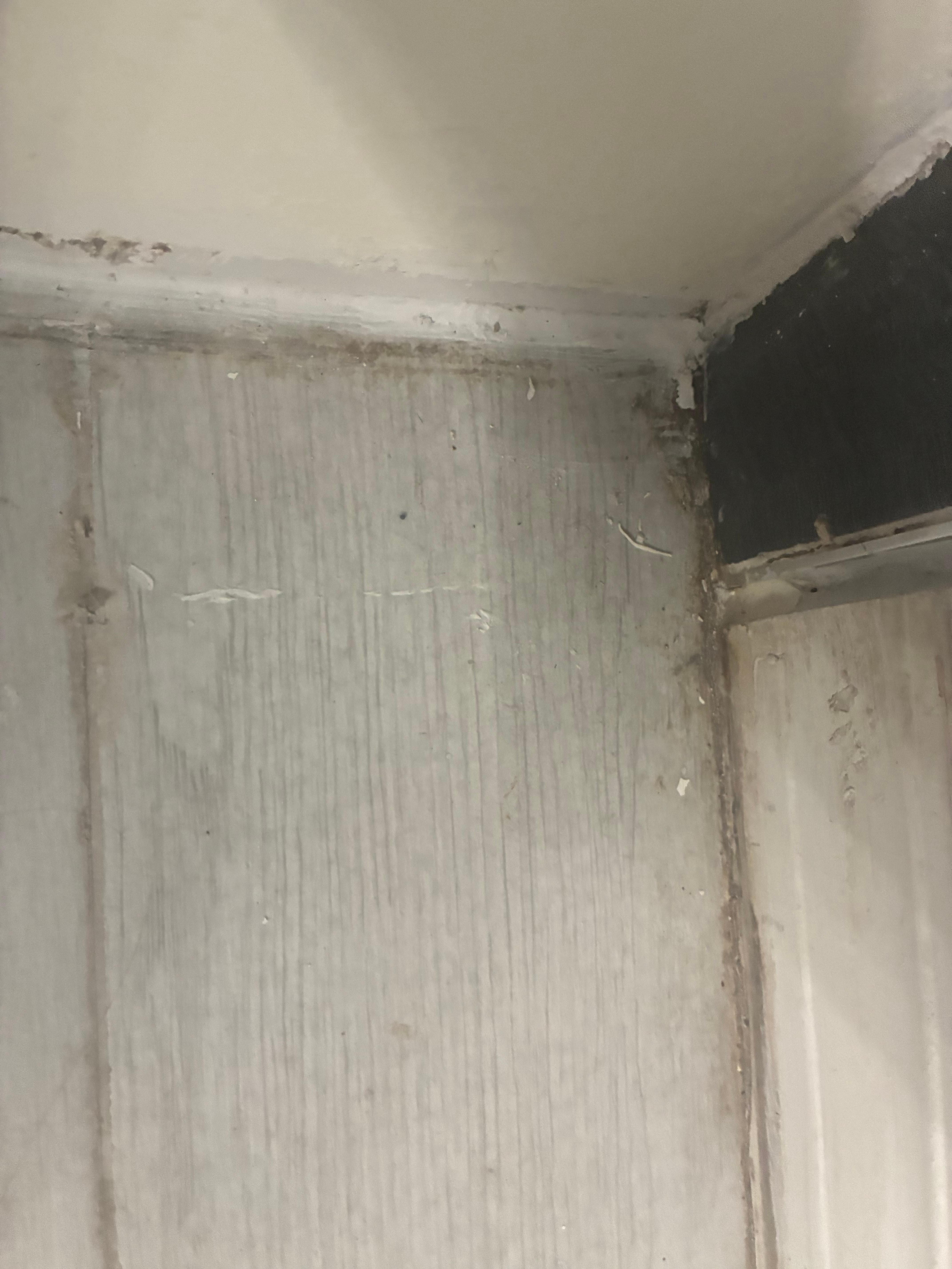 Bathroom floor , self explanatory just disgusting.