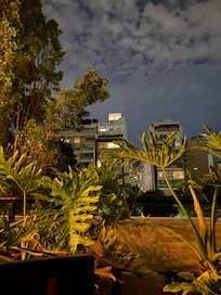 night sky view from 4th floor terrace