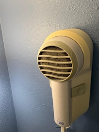 Thick dust in hair dryer vent