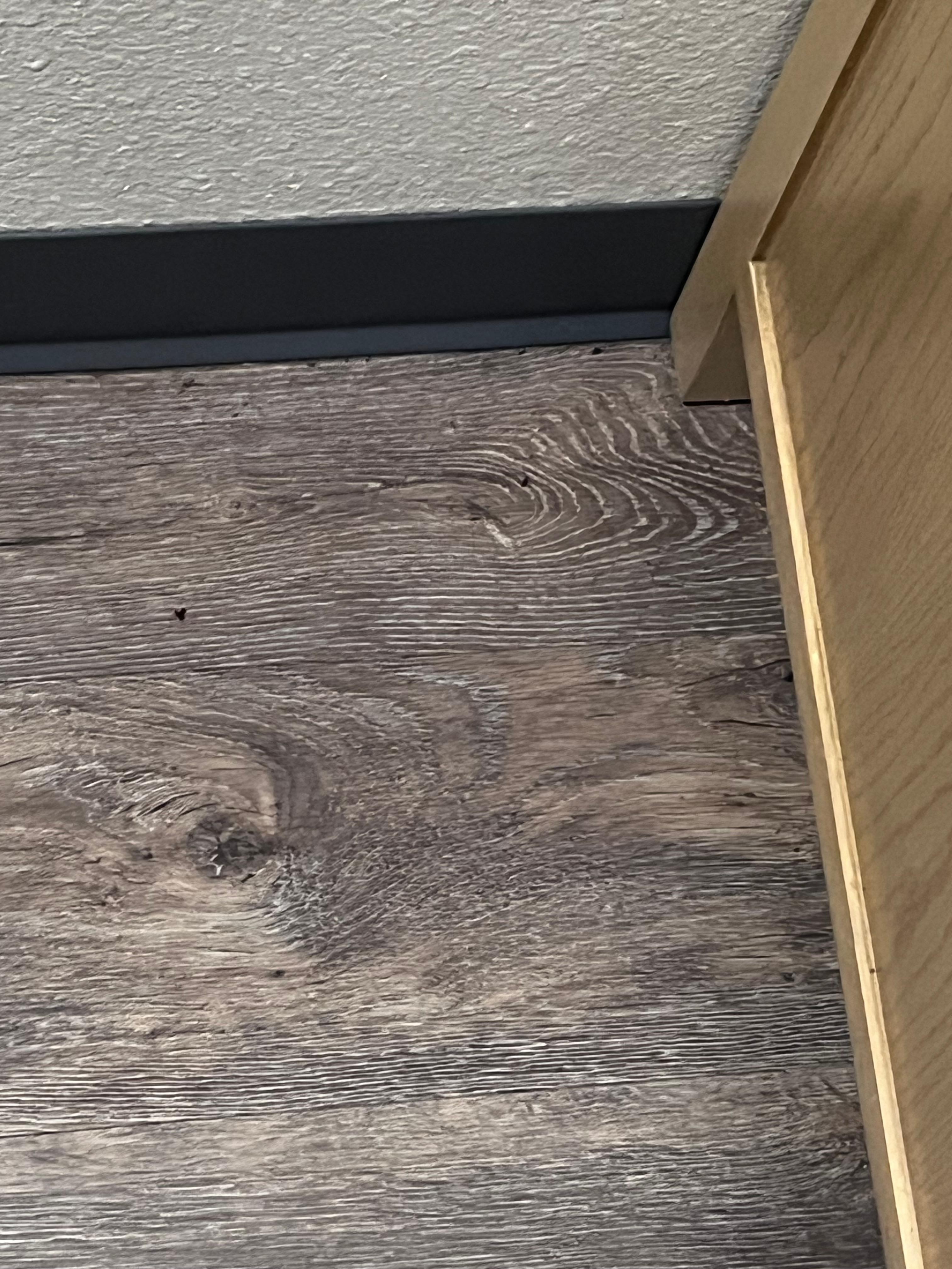 Bugs on floor by night stand /bed