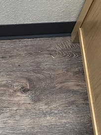Bugs on floor by night stand /bed