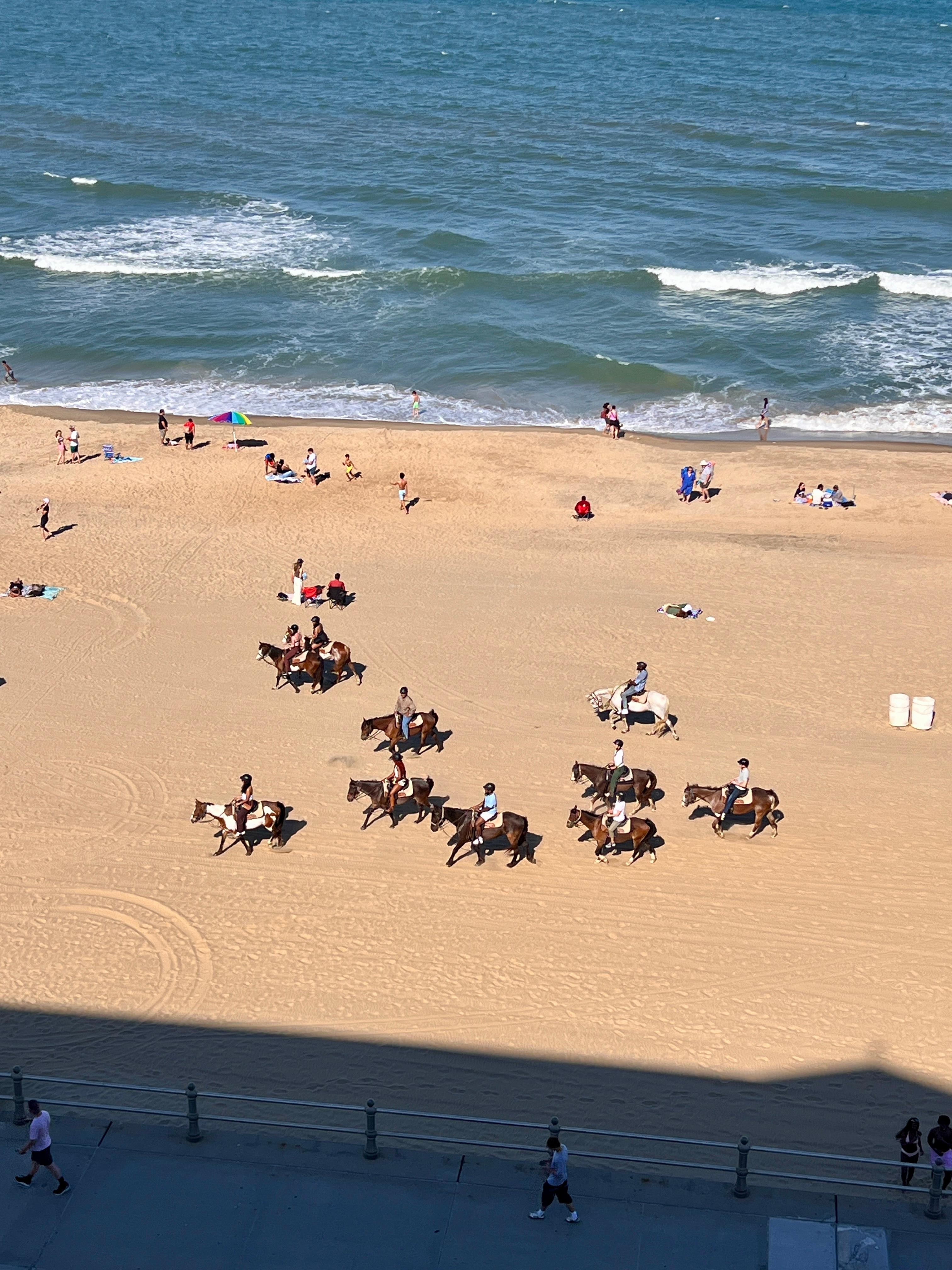 Horses on the beach, who knew! 