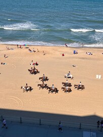 Horses on the beach, who knew!