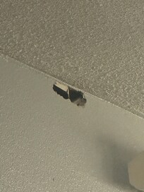 Literal hole in one of the walls