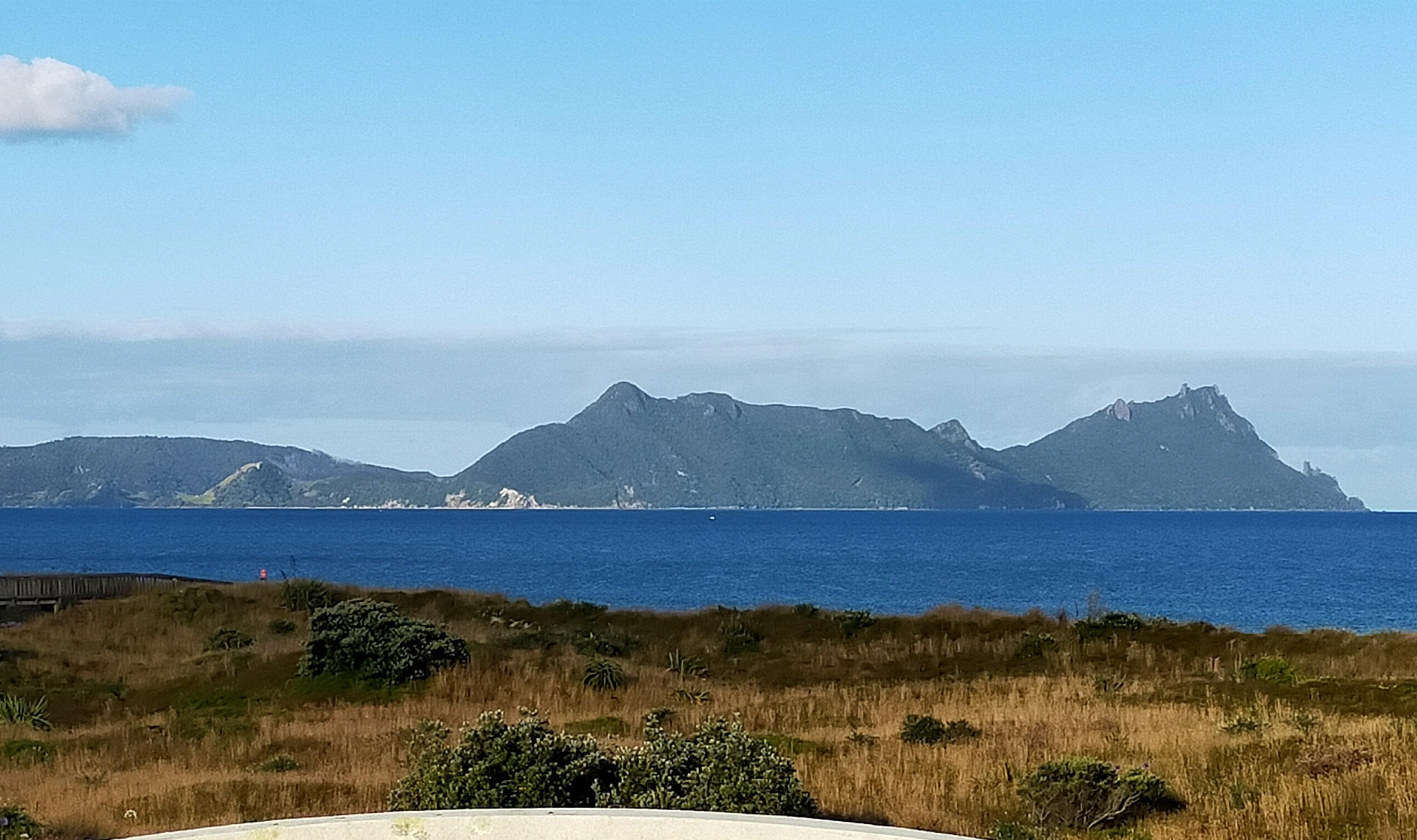 View from rooftop deck