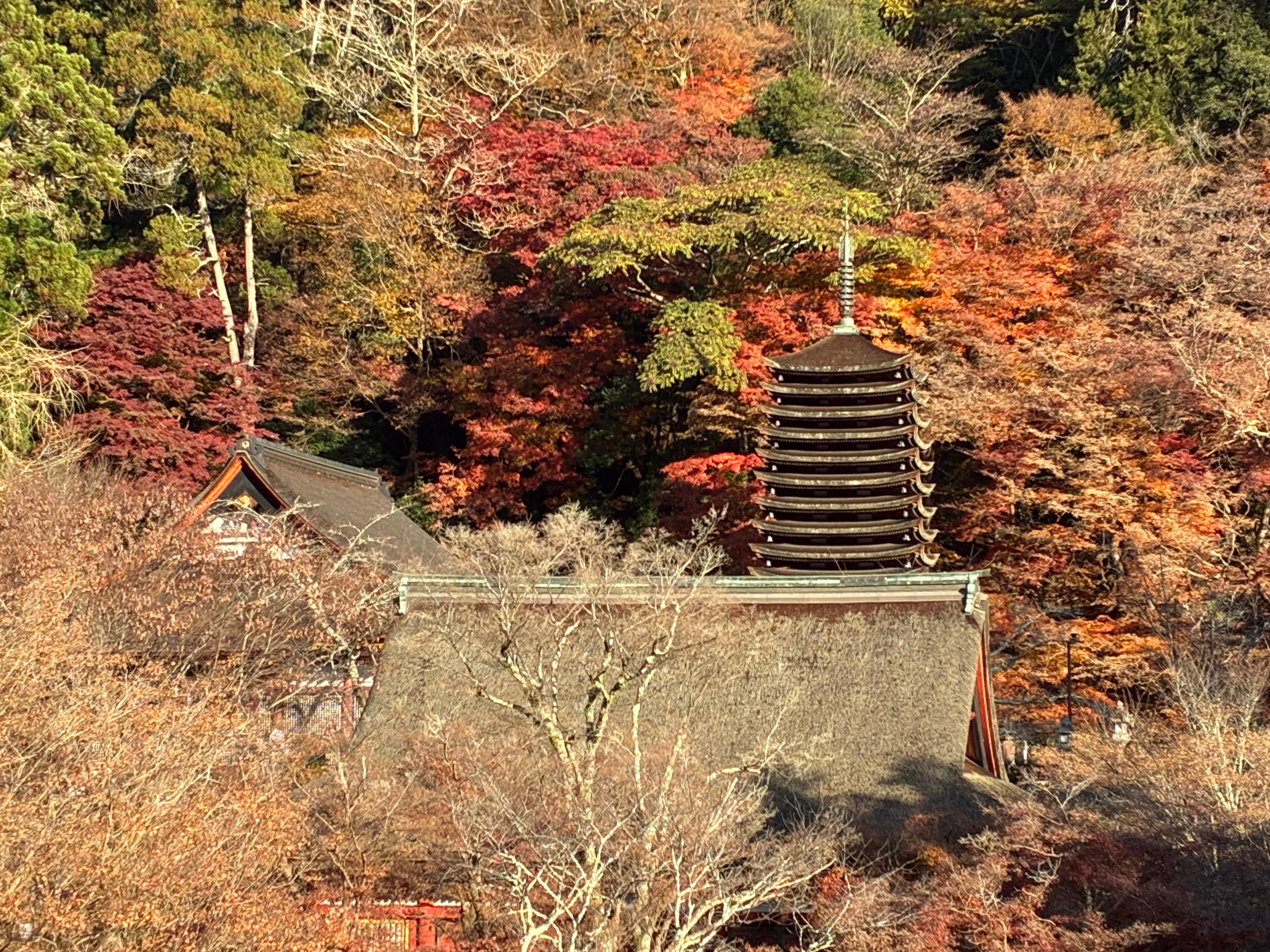 部屋からの談山神社の眺め