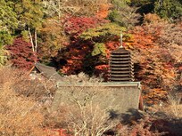 部屋からの談山神社の眺め
