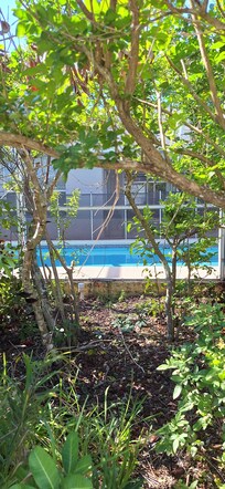 Shrubbery and trees create a private feeling in pool area (without being buggy(