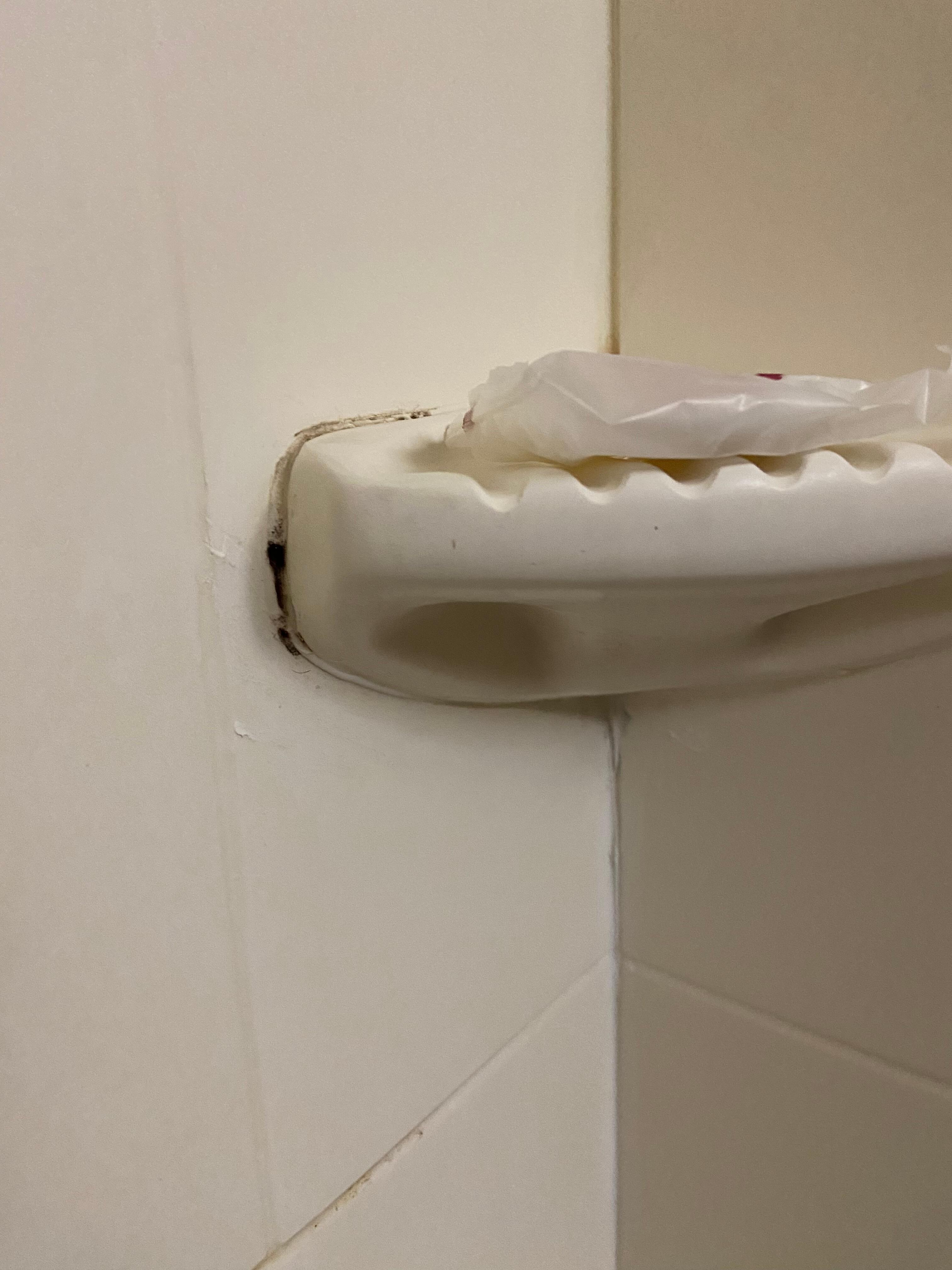 mold