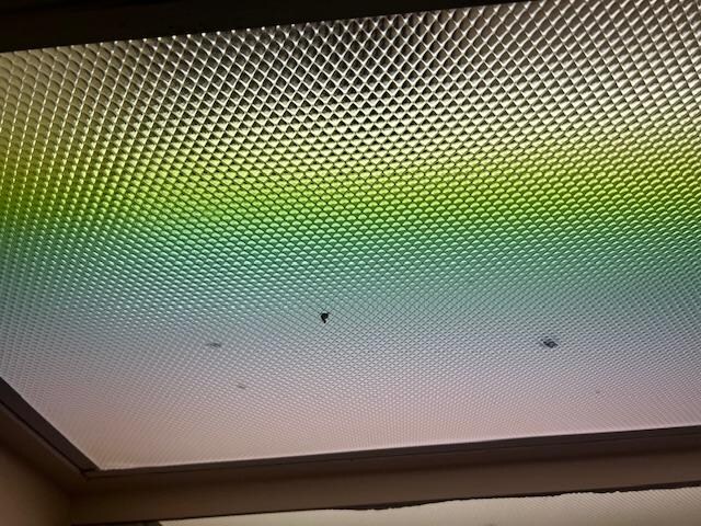 Bugs in light fixture