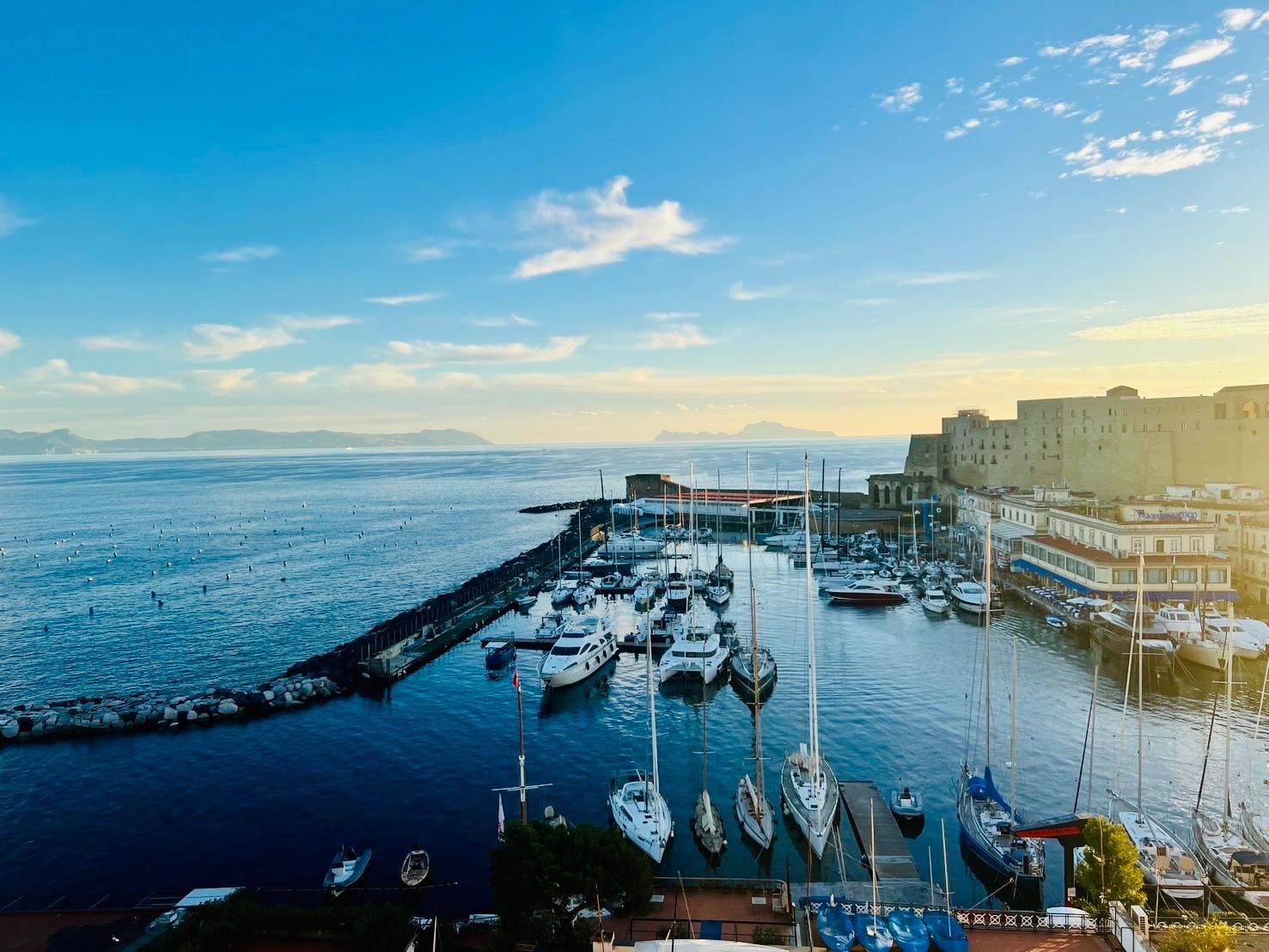 窓から見た目の前の風景。