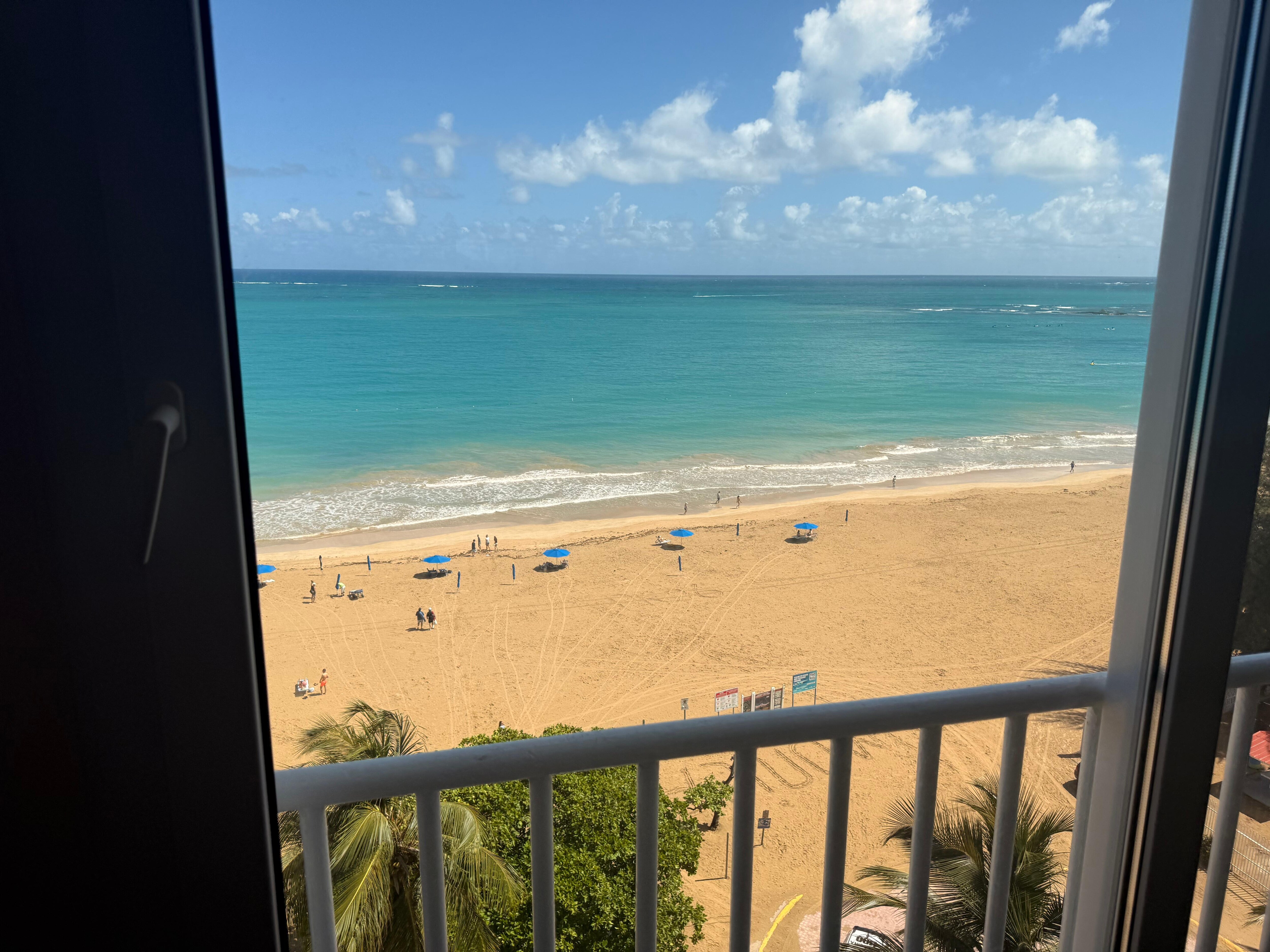 View from the room