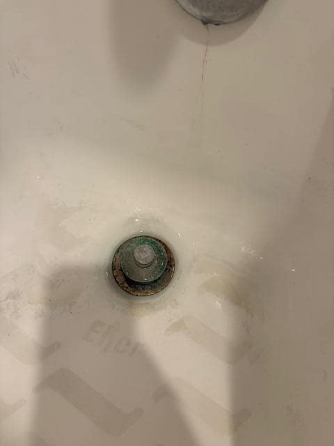 One of the shower drains 