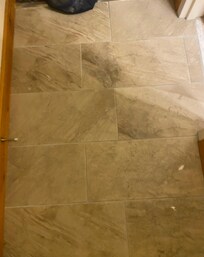 Not vacuumed daily