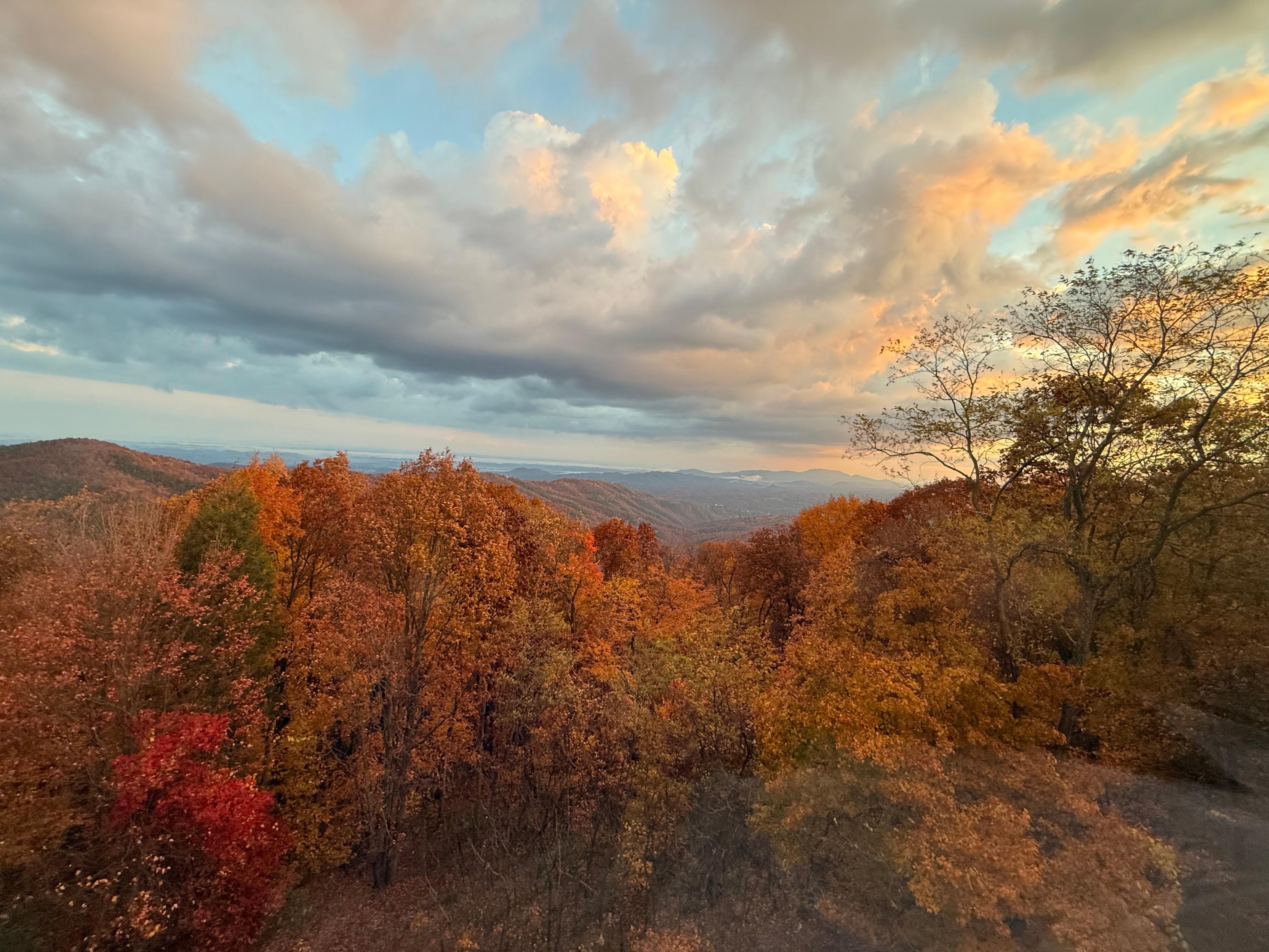 View from the balcony.