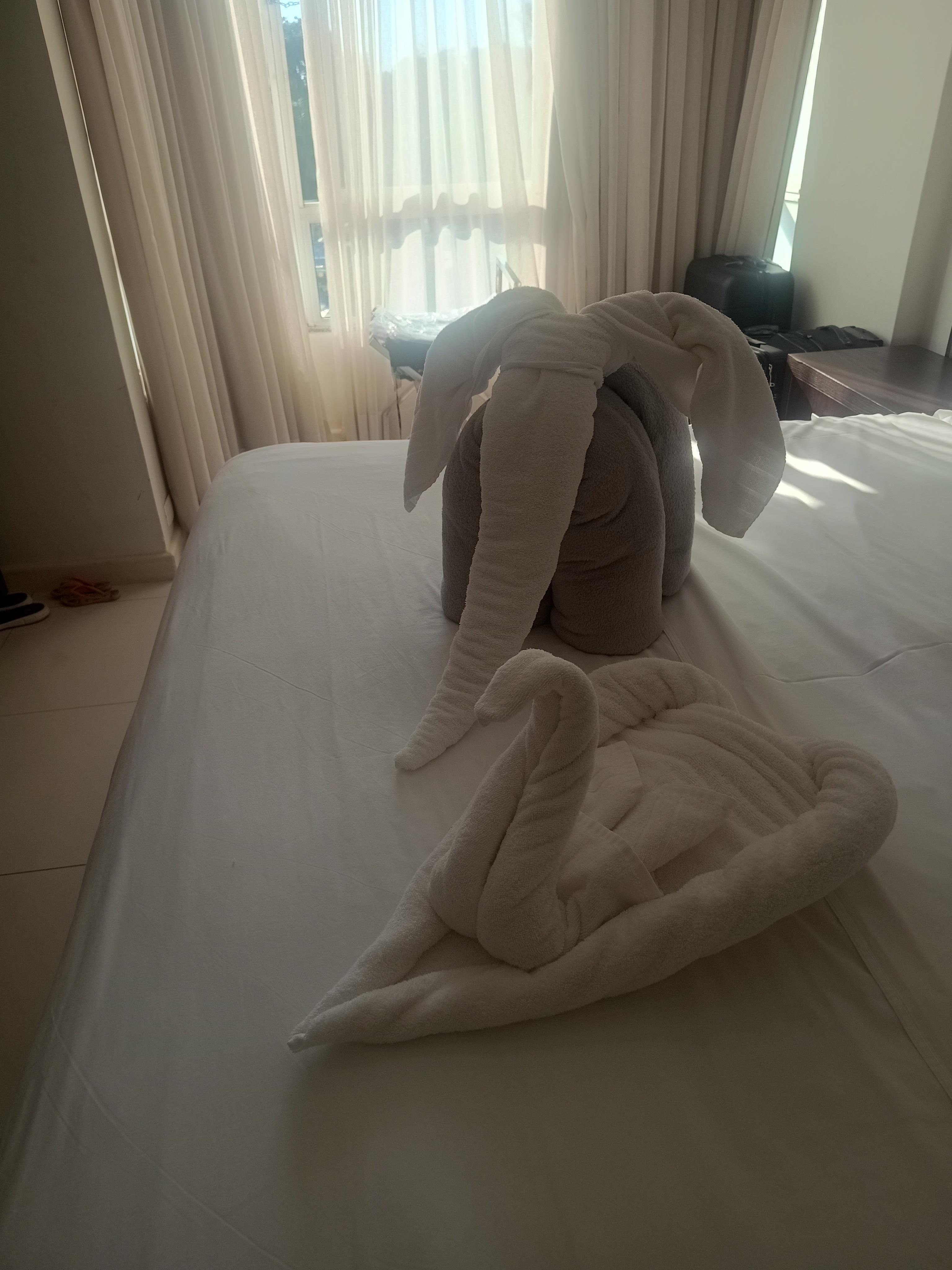 Cada dia tinha um bichinho esperando as crianças, cuidados que fazem a diferença. 
