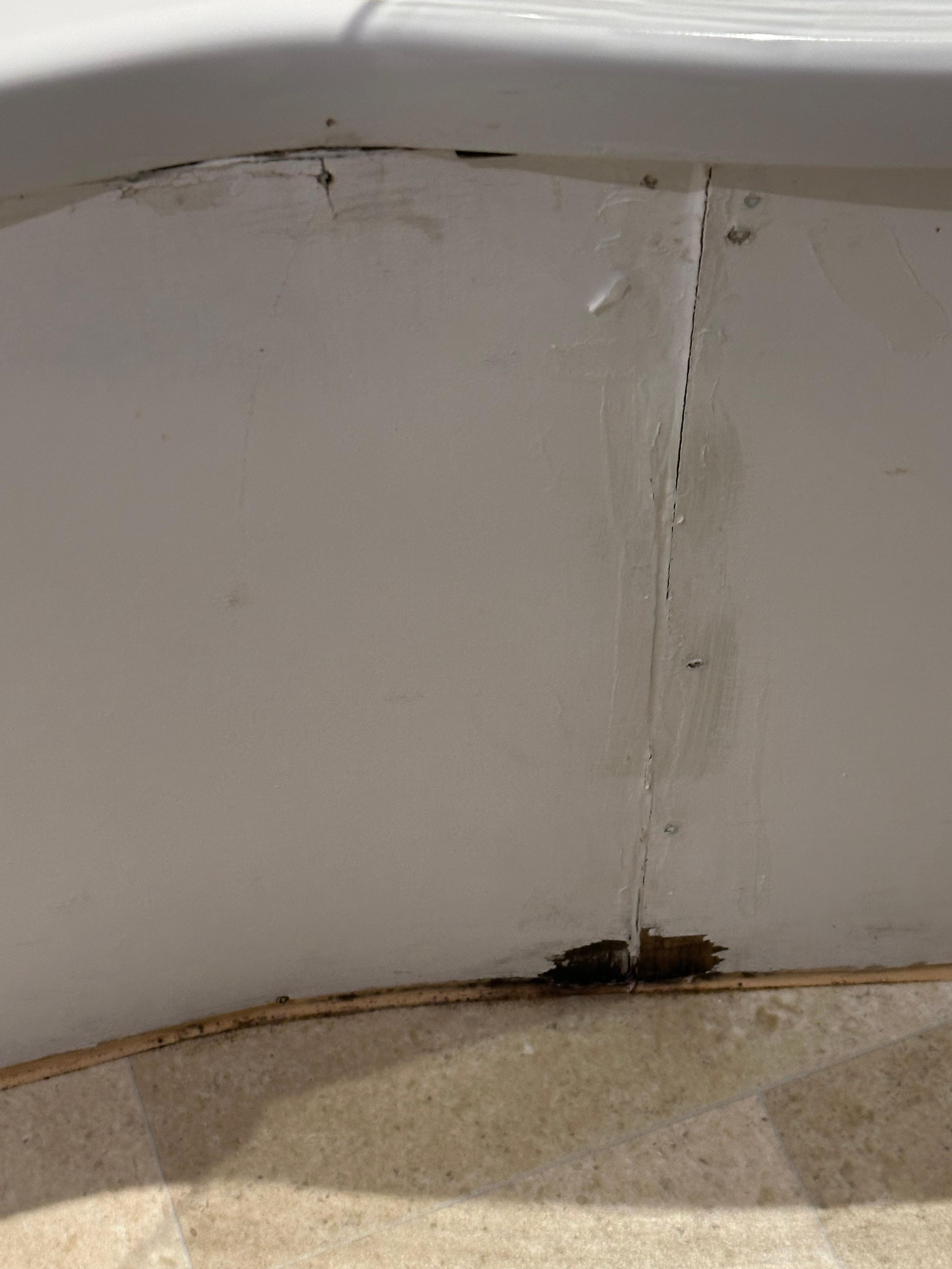 Mould on the bath side panel 