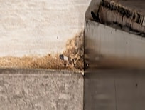 Has anyone ever cleaned this? It's between shower door and door stopper