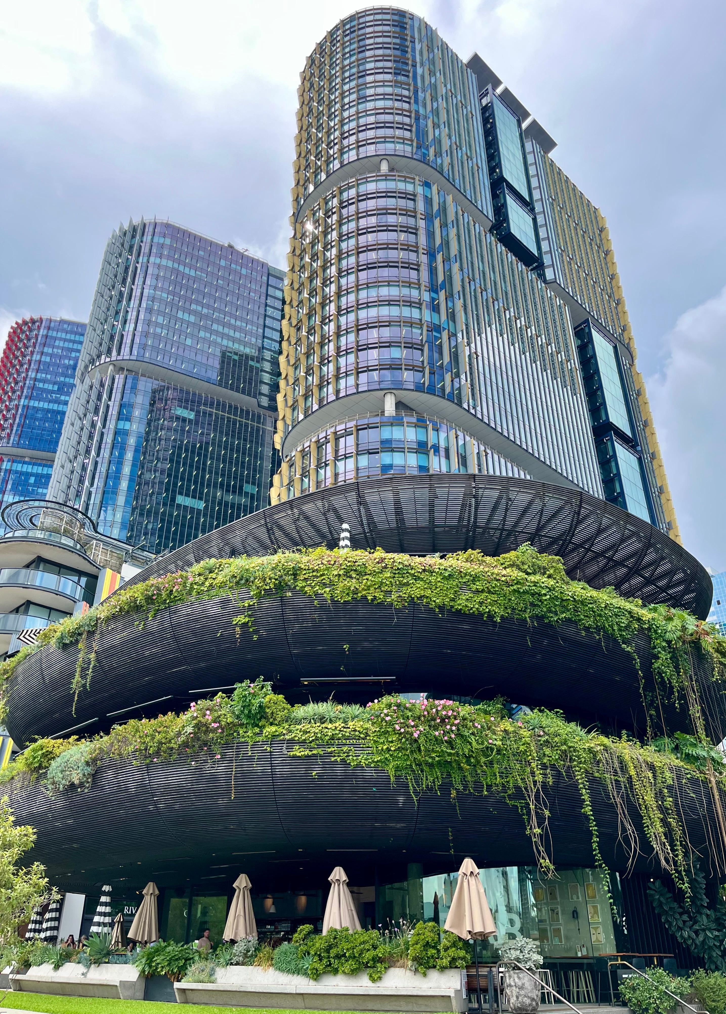 Downtown Dining near hotel 