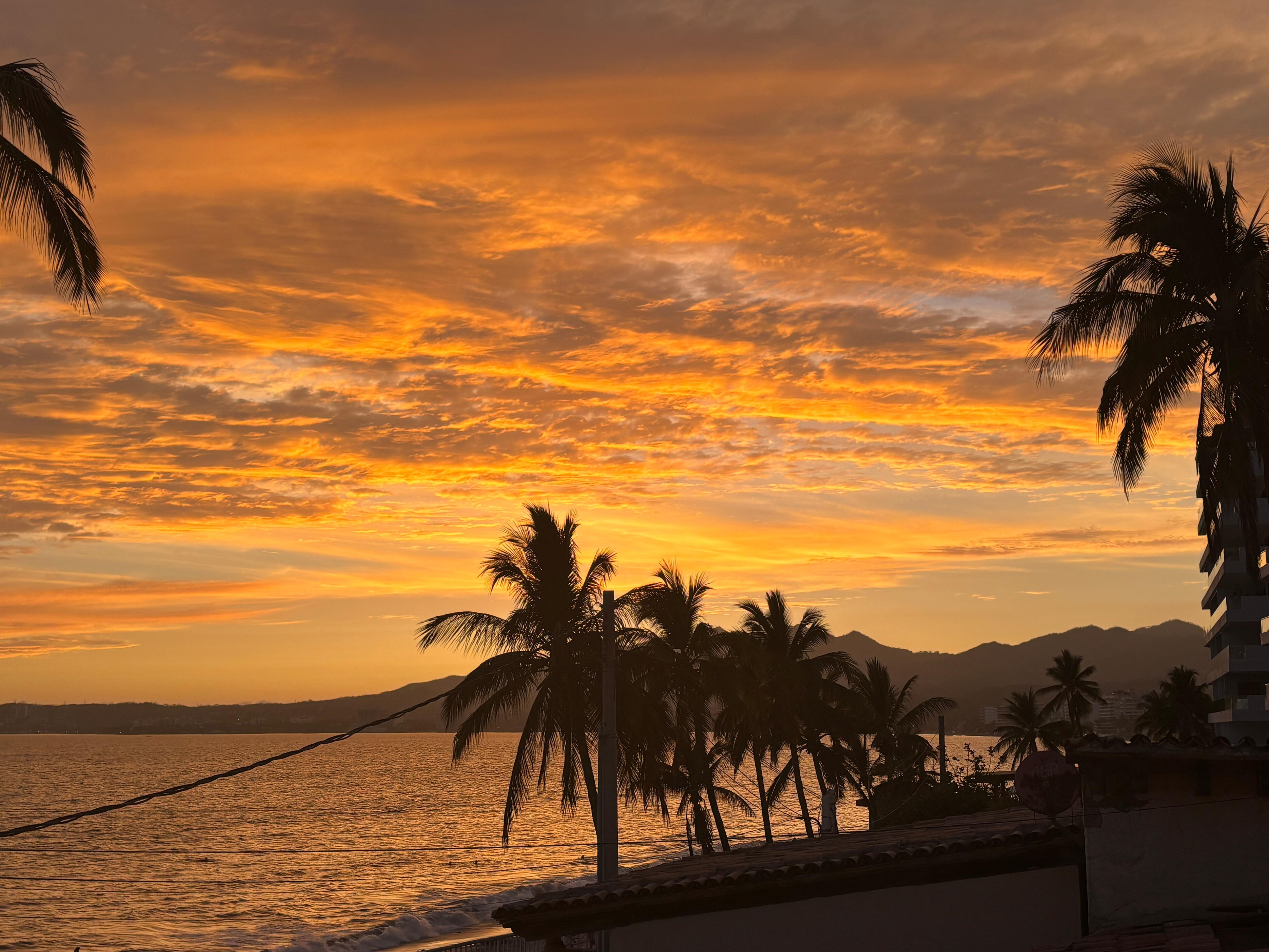 A view from our patio