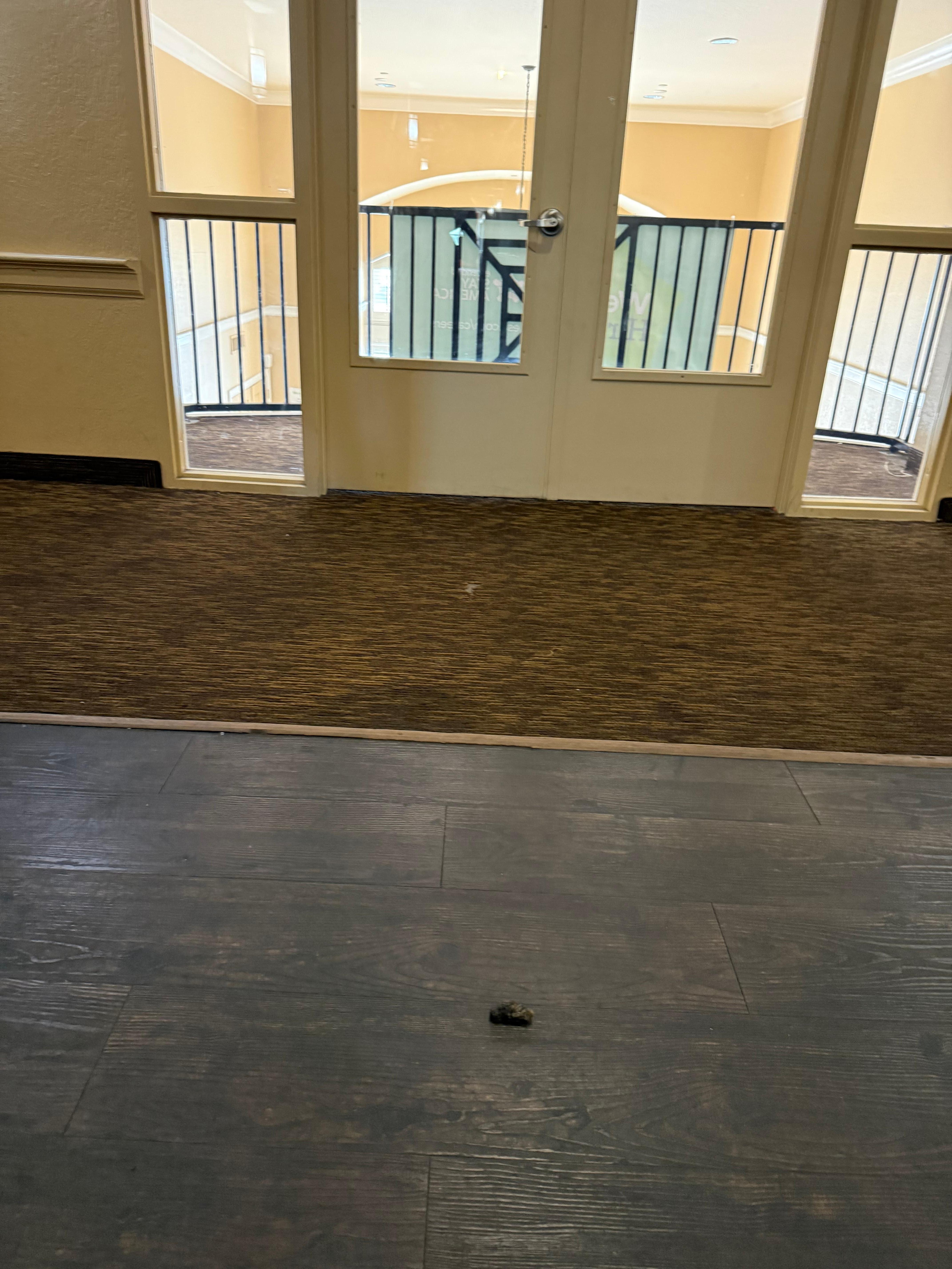 Feces in hallway right in front of elevator. 