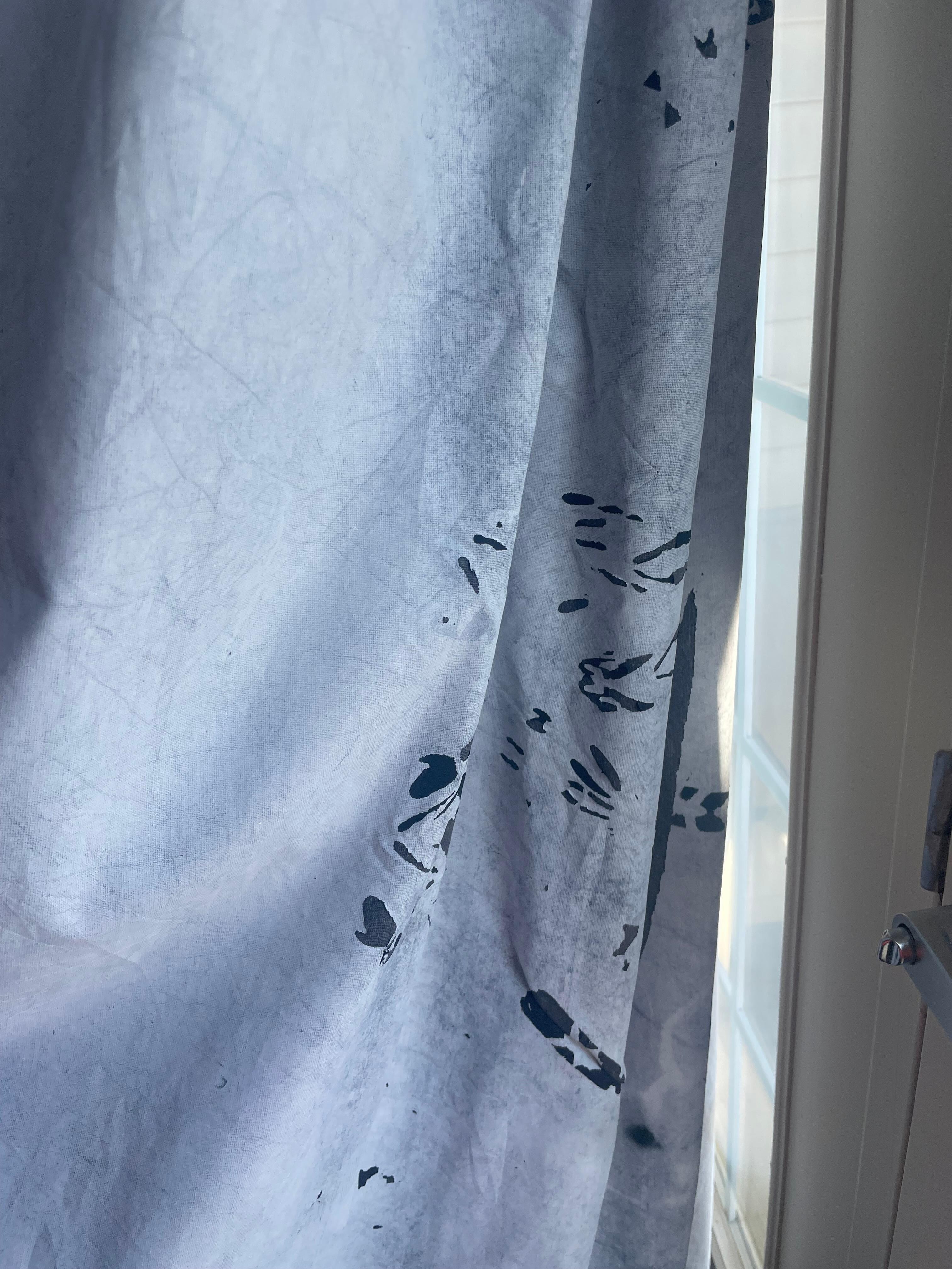 Gnats in room 
