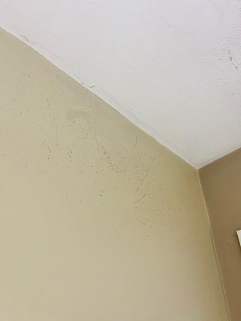 This is one of the walls with visible dust and dirt.