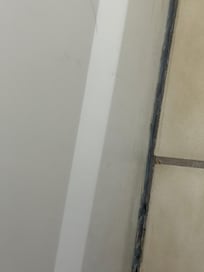 More mold