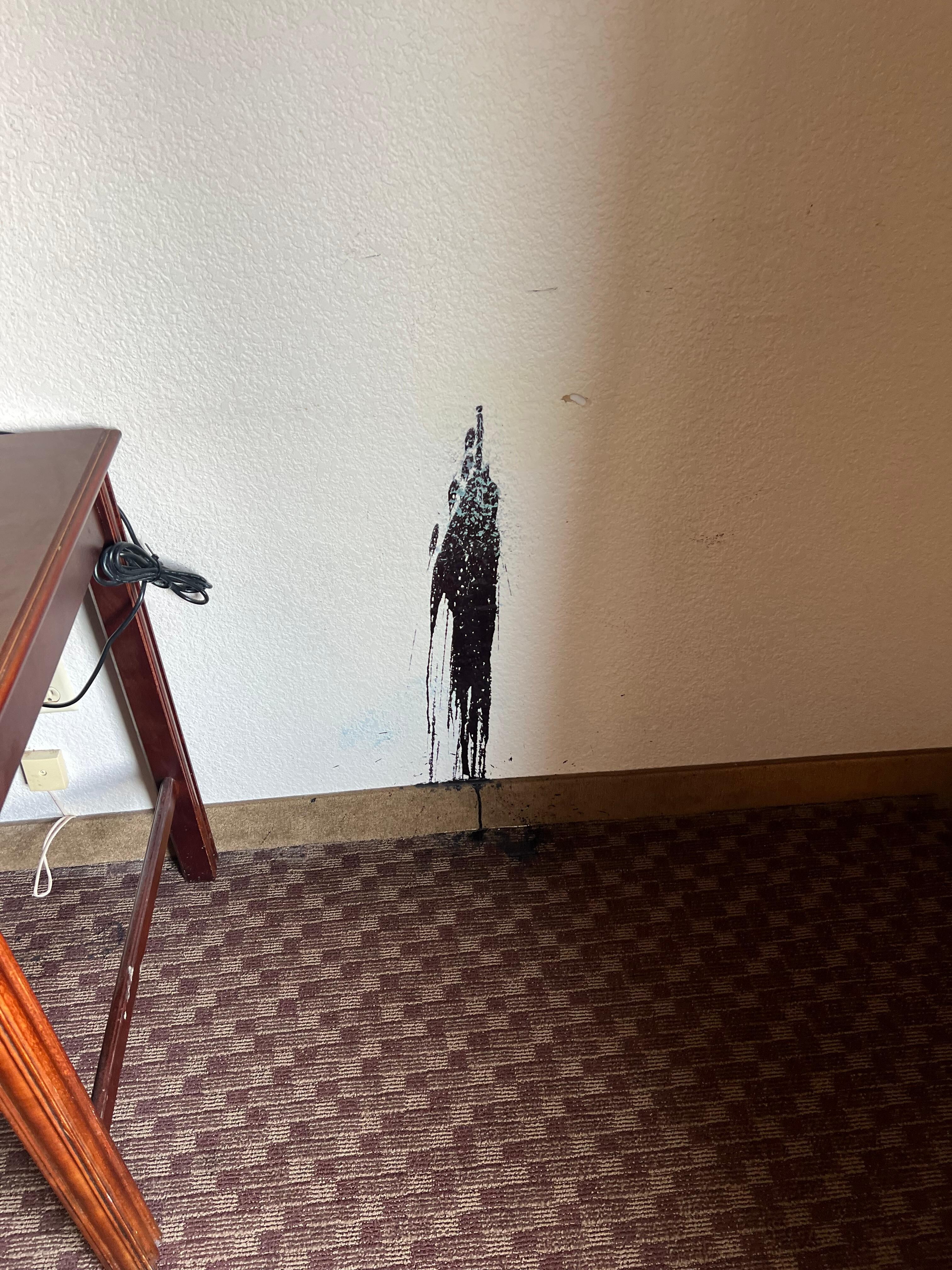 Unidentifiable black splatter on room wall