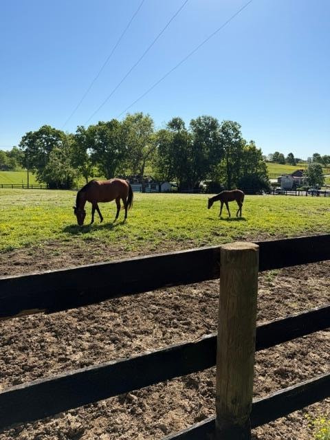 Mama and baby Lucy