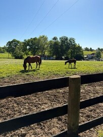 Mama and baby Lucy
