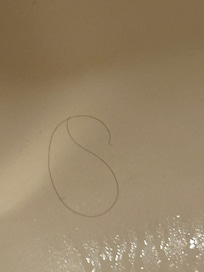 Hair in the shower