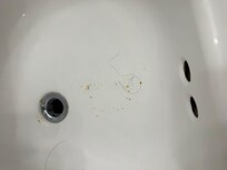 First place that was offered to us: dirt and mold setting in