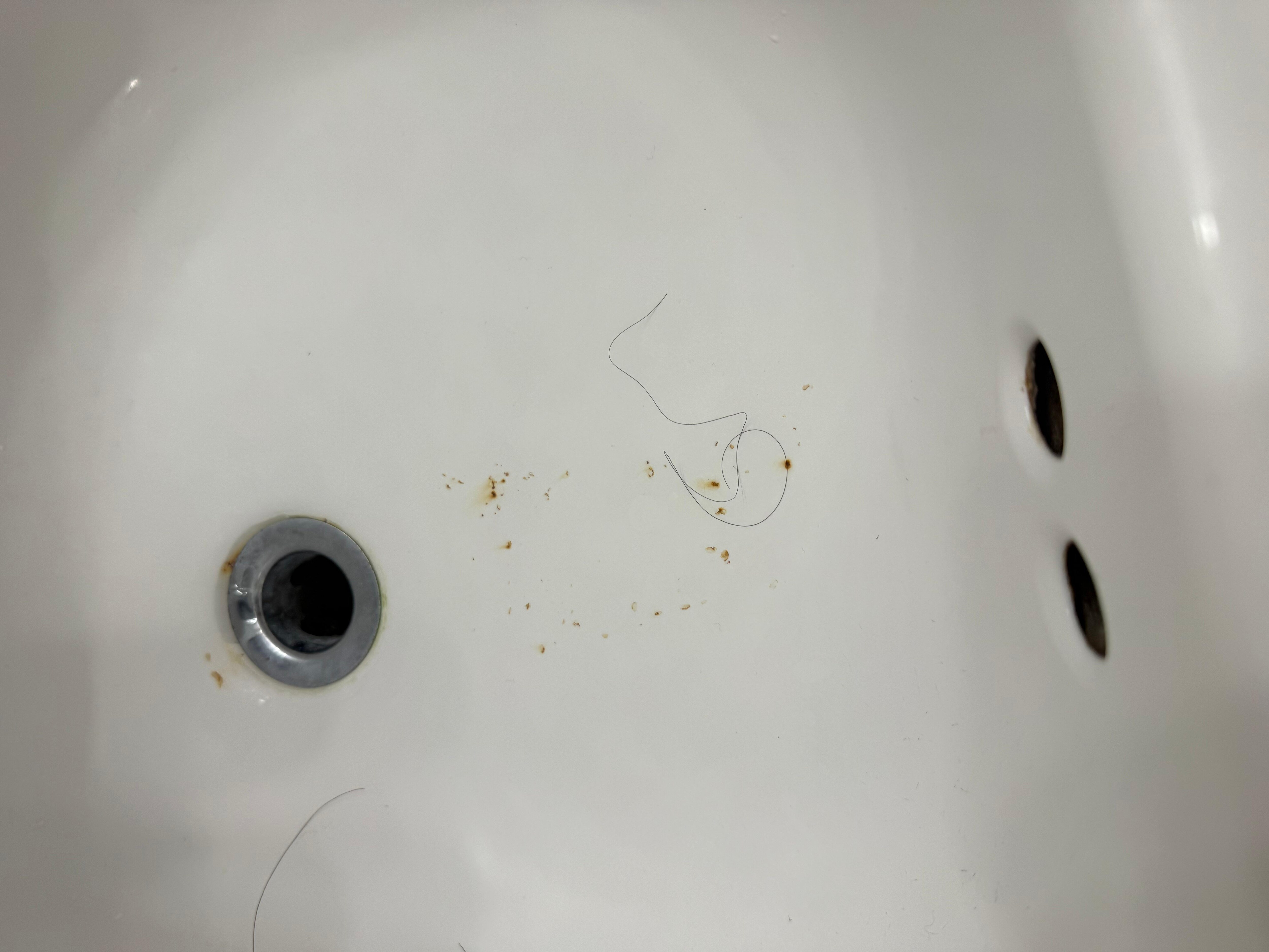First place that was  offered to us: dirt and mold setting in