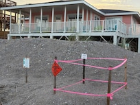 Loggerhead turtle nest in front of the house.