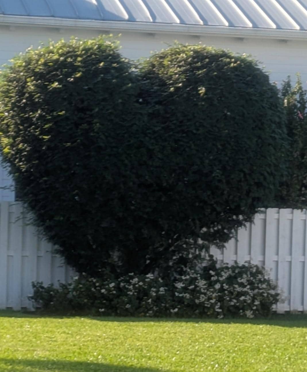 Outdoor area at the cottages