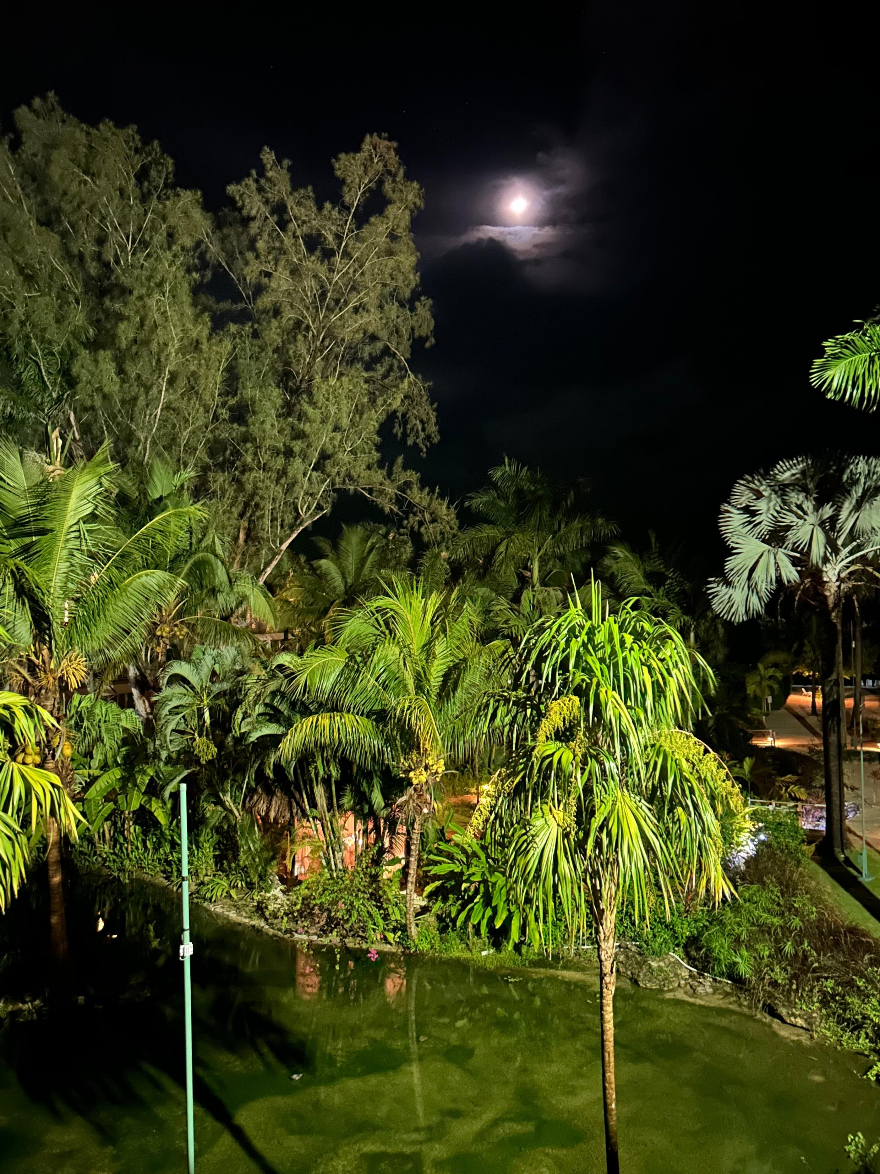 View from oceanfront room at night