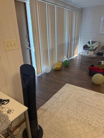 Downstairs bedroom fan, no ac