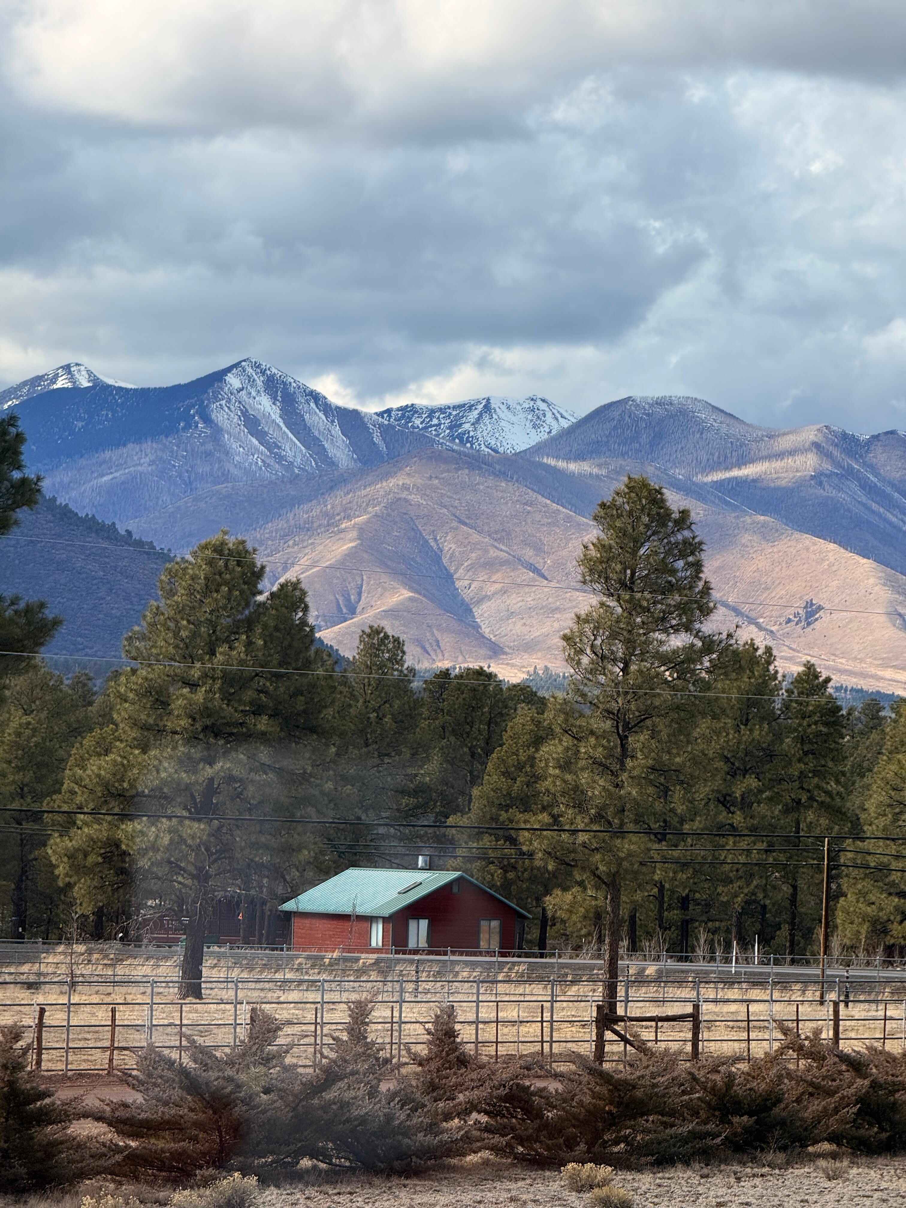 View from the living/dining area was amazing 