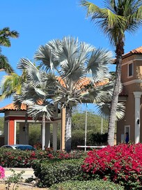 Gold Coast is a beautifully maintained, lush gated community.