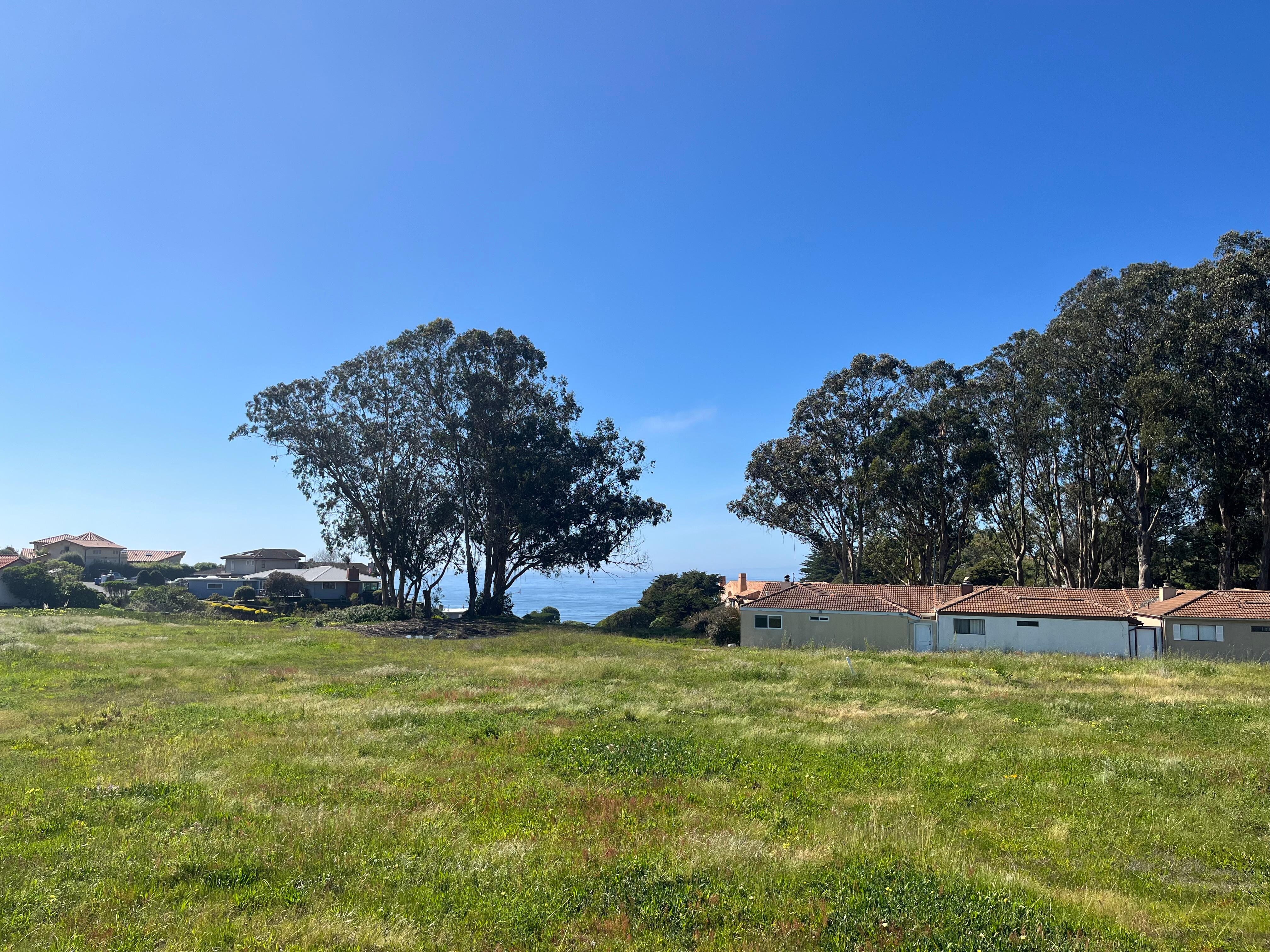 The view from the house