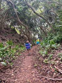 Trail to Sea Lodge beach.