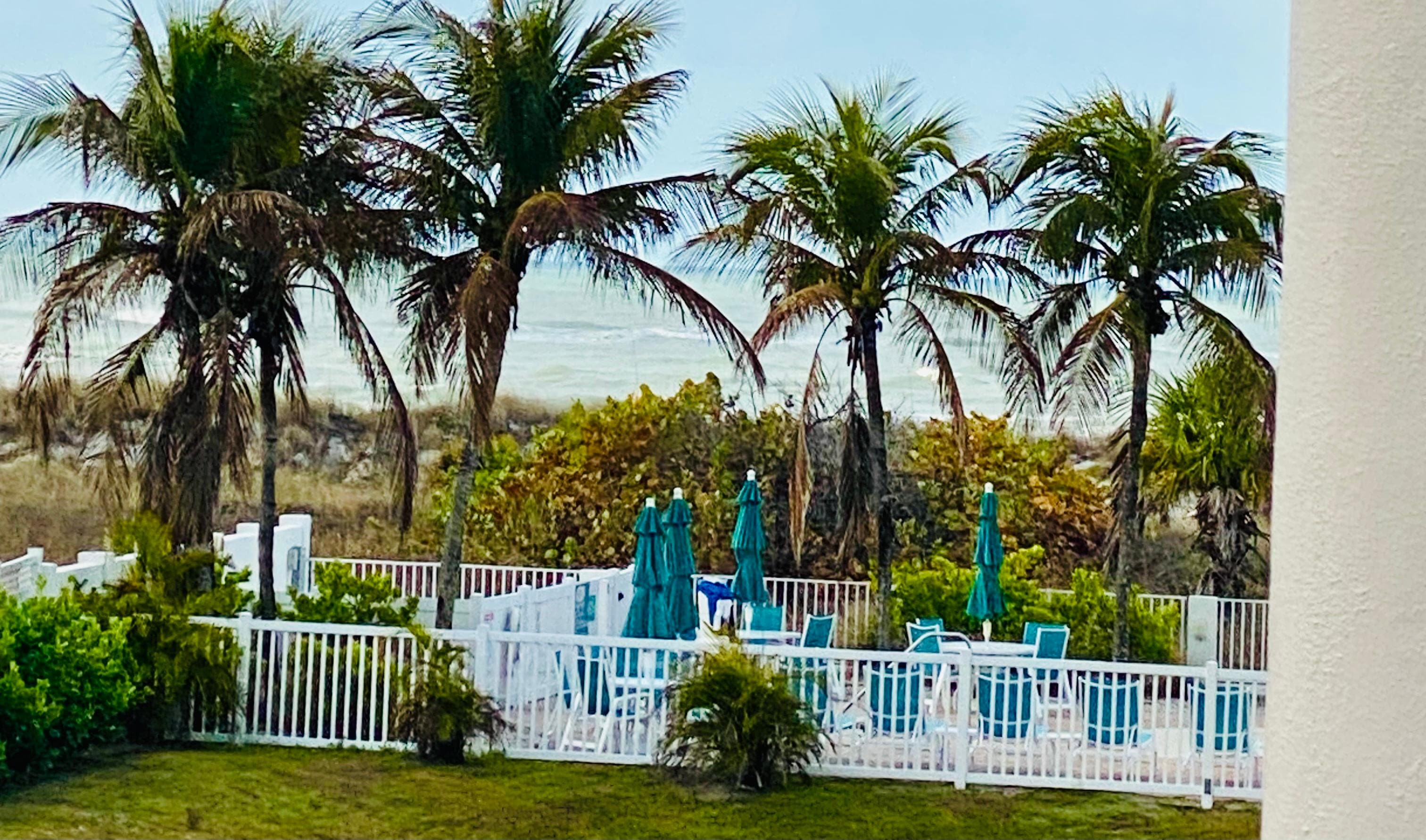 View from the balcony. We loved mornings on the balcony. 
