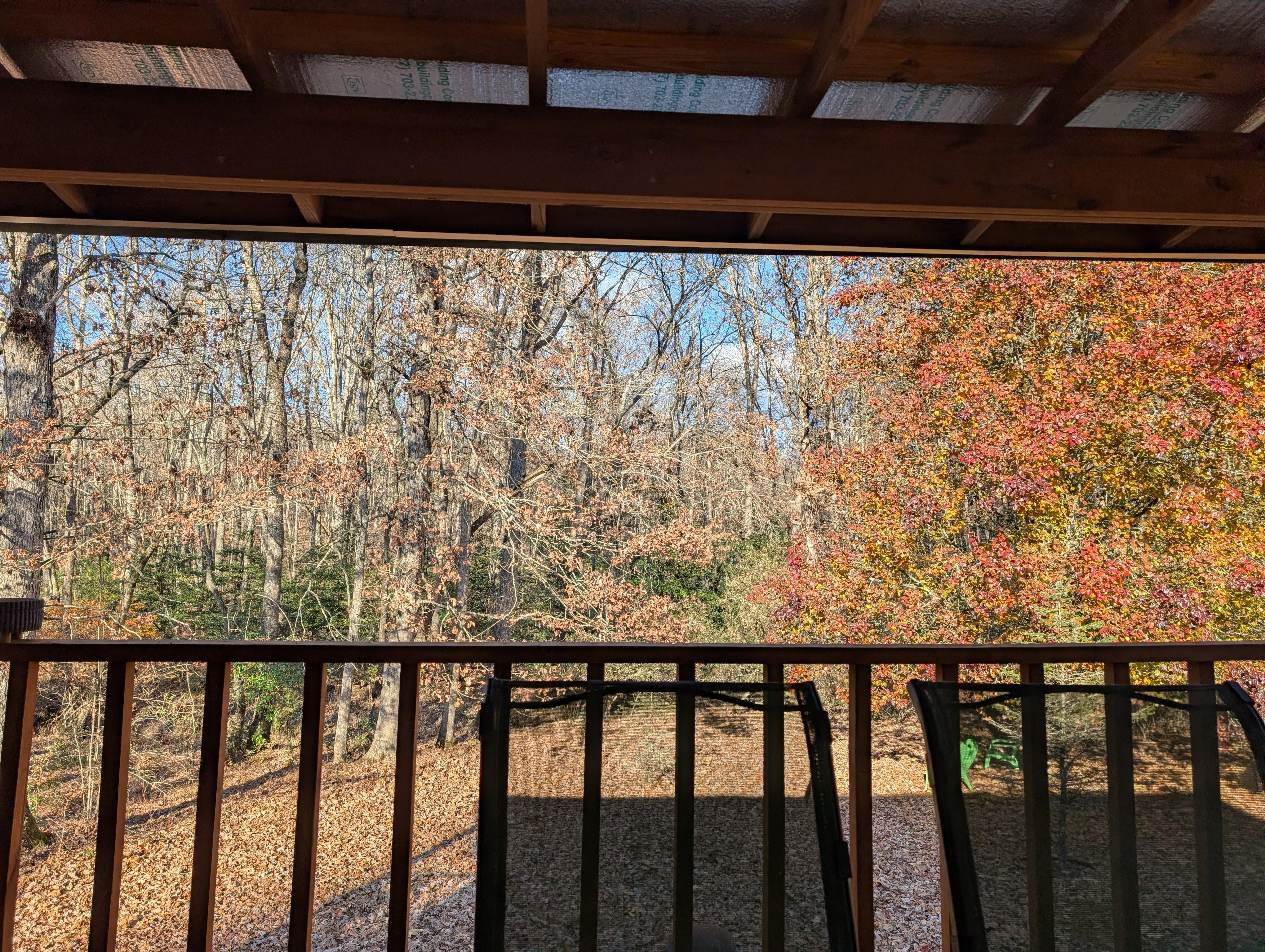 Could sit out here all day!